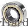 Cylindrical Roller Bearings
