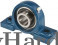 Pillow Block Bearings